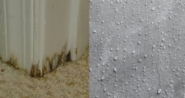 Why Does Concrete Sweat? Reasons Behind Sweating Concrete